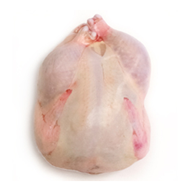 10X18 Poultry Shrink Bags 3 MIL Freezer Safe BPA/BPS Free BAGS ONLY 100 