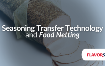 Seasoning Transfer Technology and Food Netting: Revolutionizing Food Processing in 2025