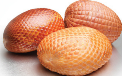 U.S.-Made Food Netting for Reliable Supply Chains