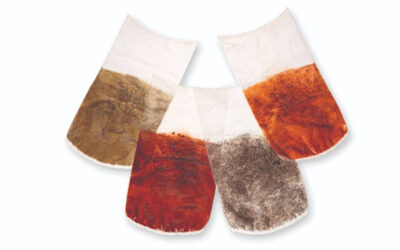 From New Flavor to New SKU: How Seasoning Transfer Technology Supports Product Development